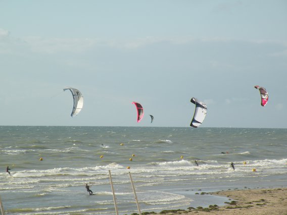  windsurfeurs